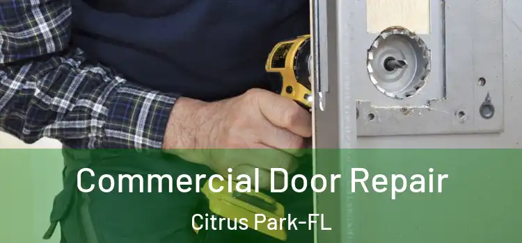 Commercial Door Repair Citrus Park-FL
