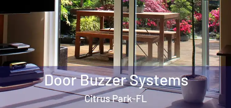 Door Buzzer Systems Citrus Park-FL
