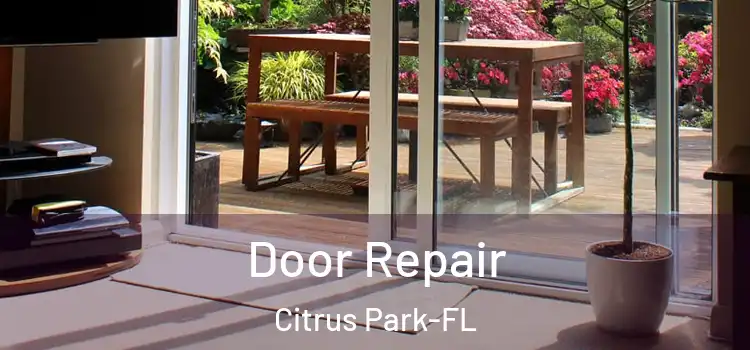 Door Repair Citrus Park-FL