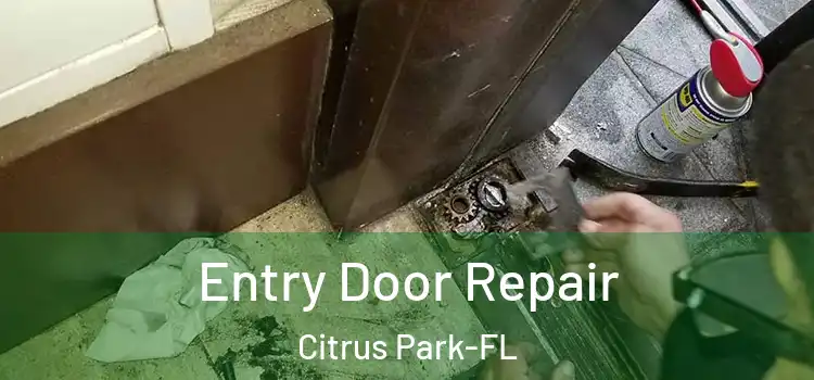 Entry Door Repair Citrus Park-FL