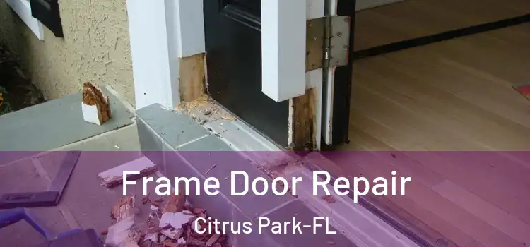Frame Door Repair Citrus Park-FL