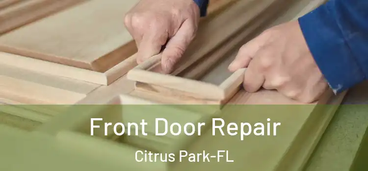 Front Door Repair Citrus Park-FL
