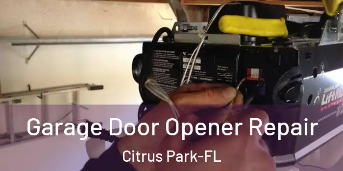Garage Door Opener Repair Citrus Park-FL