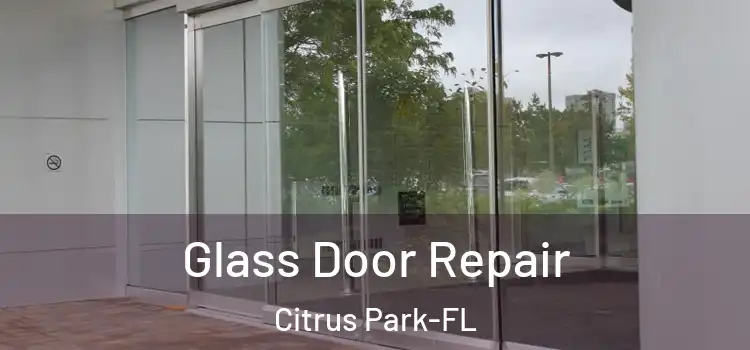Glass Door Repair Citrus Park-FL