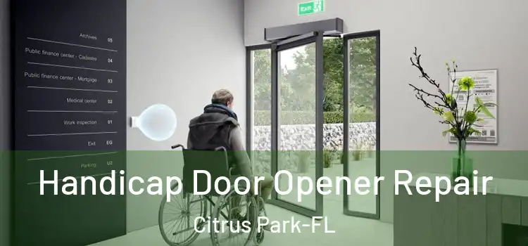 Handicap Door Opener Repair Citrus Park-FL