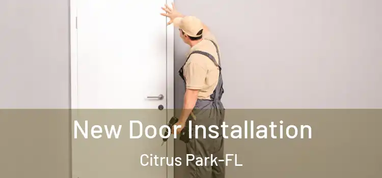 New Door Installation Citrus Park-FL