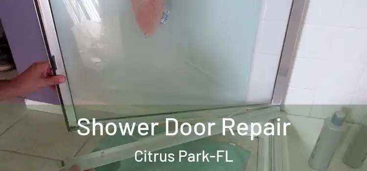 Shower Door Repair Citrus Park-FL