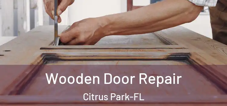 Wooden Door Repair Citrus Park-FL